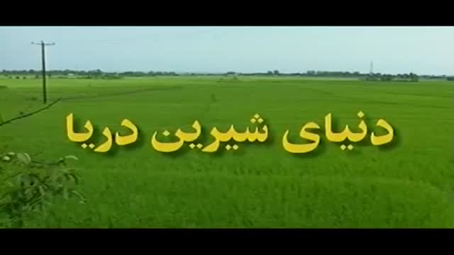 [02 Episode | قسمت] Donyay Shirine Darya | دنیای شیرین دریا - Farsi